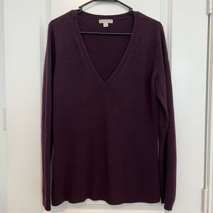 Plum V-Neck sweater